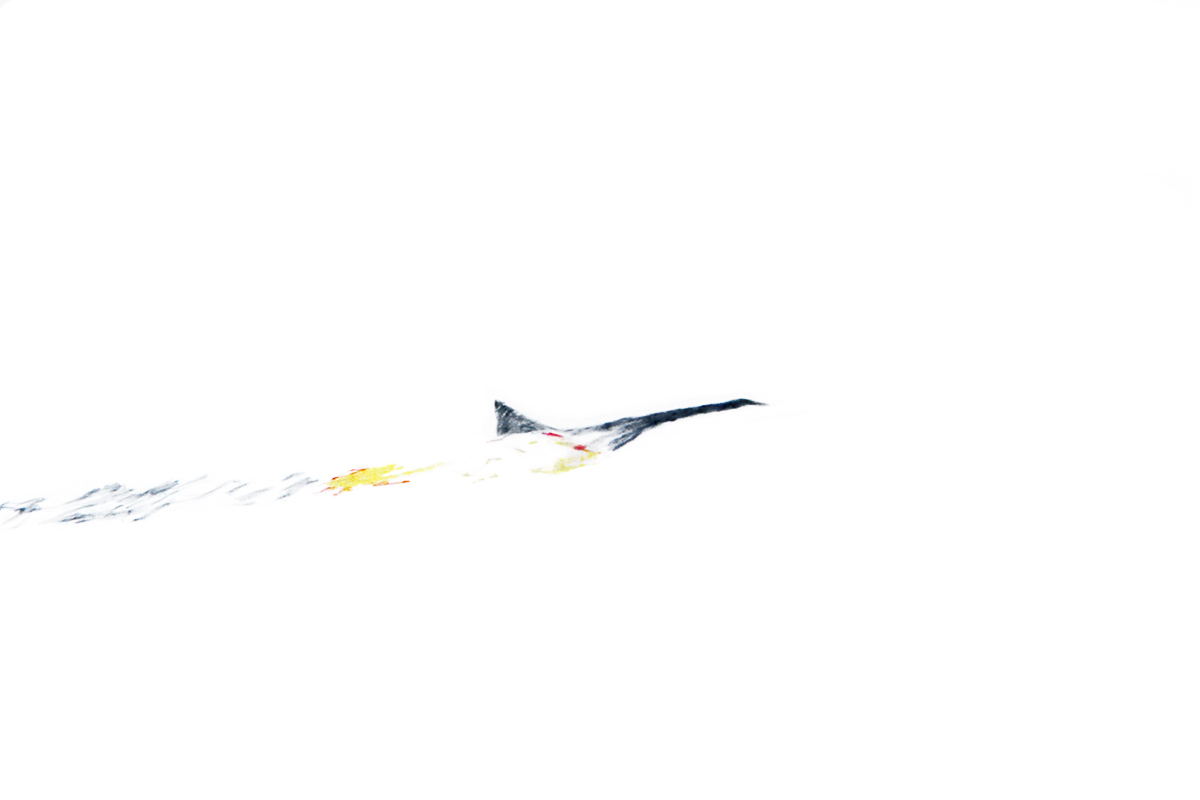 Concorde_Startseite